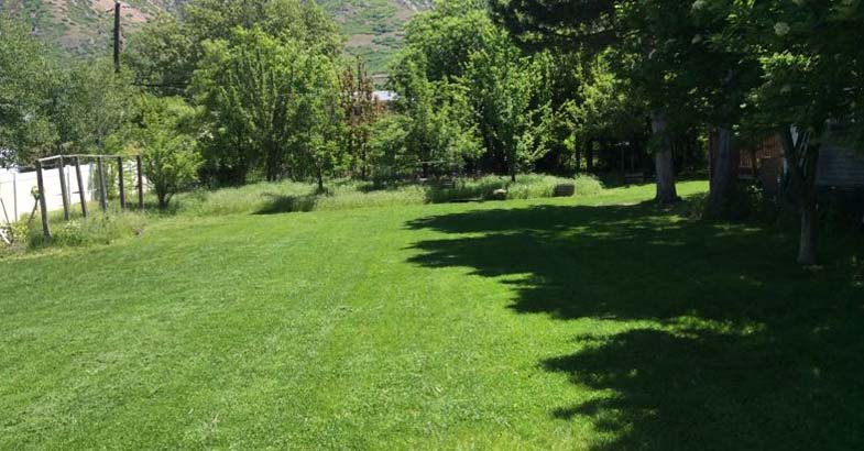 beautiful weber lawn using the fertilization & weed control service offered by Tuxedo Yard Care