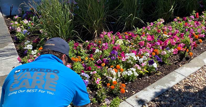 Tuxedo Yard Care Mulch Installation service for a flower bed in Layton, Utah