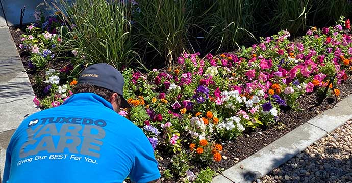 Tuxedo Mulch Installation Service for a beautiful flower bed in Layton, Utah