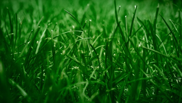 Close up of fake grass