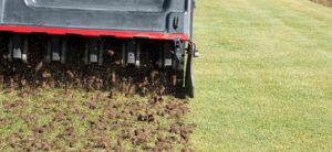 Core Aeration