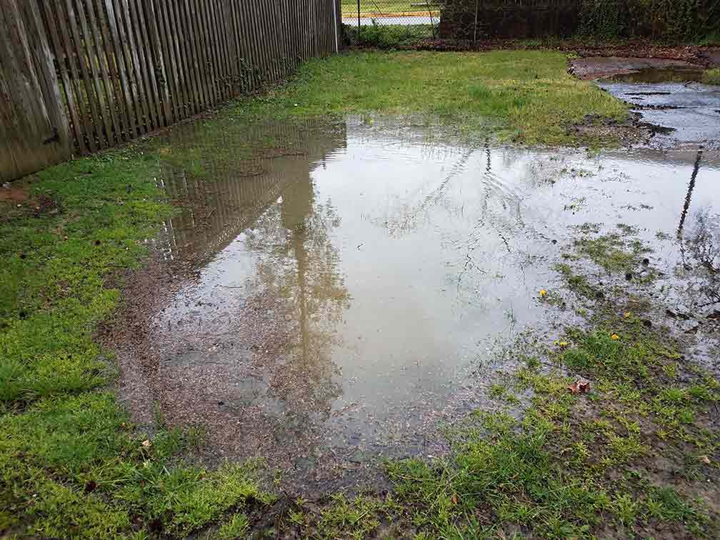 Large Puddle Formed On A Lawn