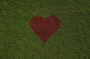 Heart Lawn
