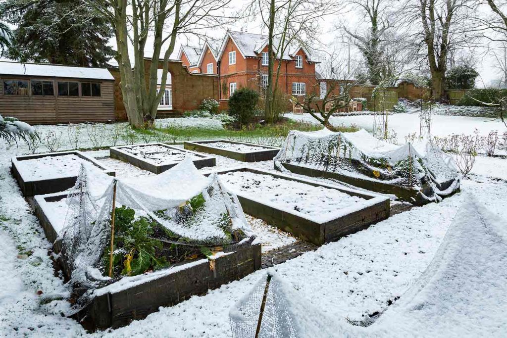 winter garden bed cleanup