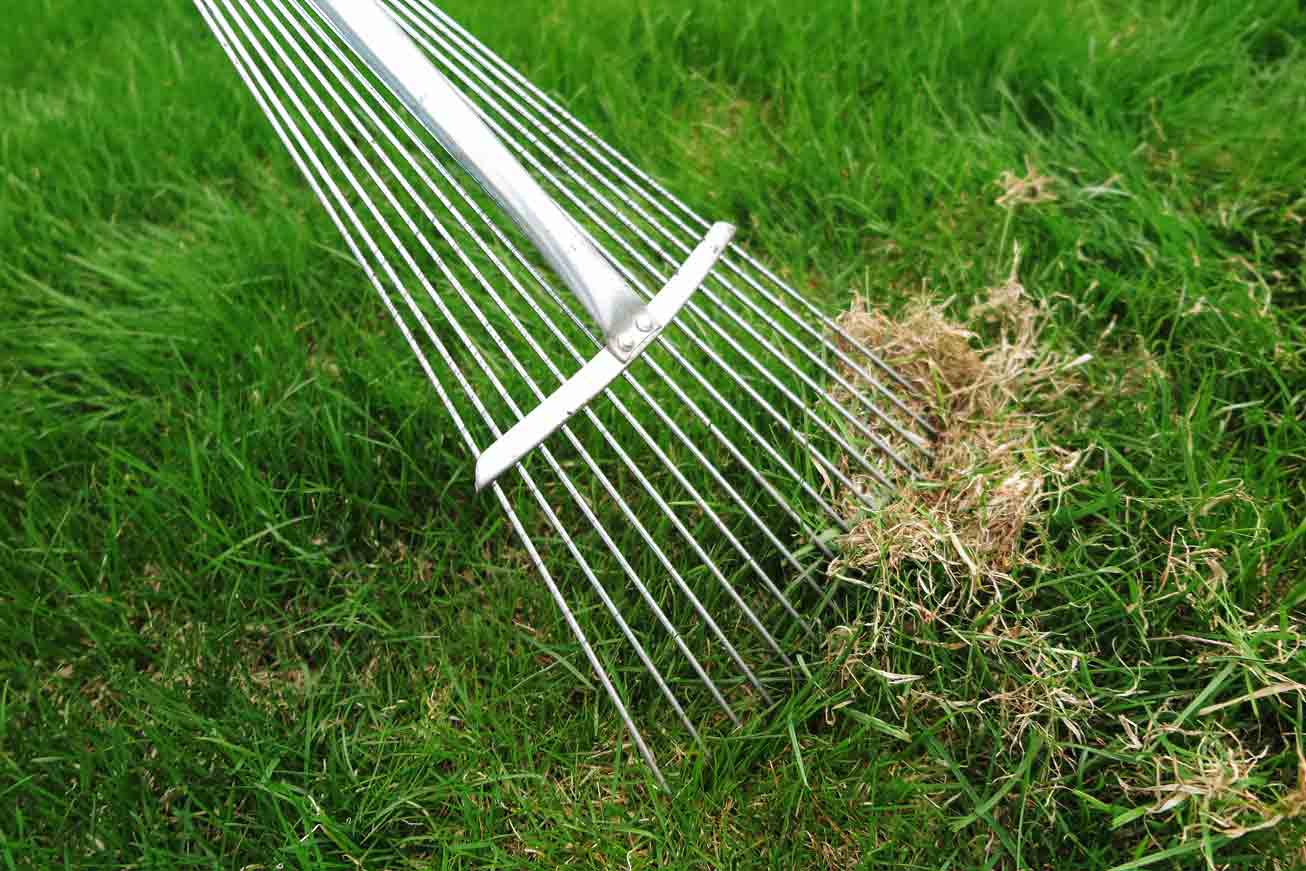 Dethatch-rake-pulling-thatch-off-of-a-lawn