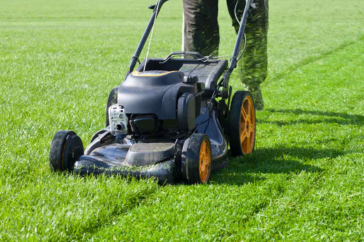 A-Black-Lawn-Mower-Mowing-Green-Grass-3-by-2-Ratio