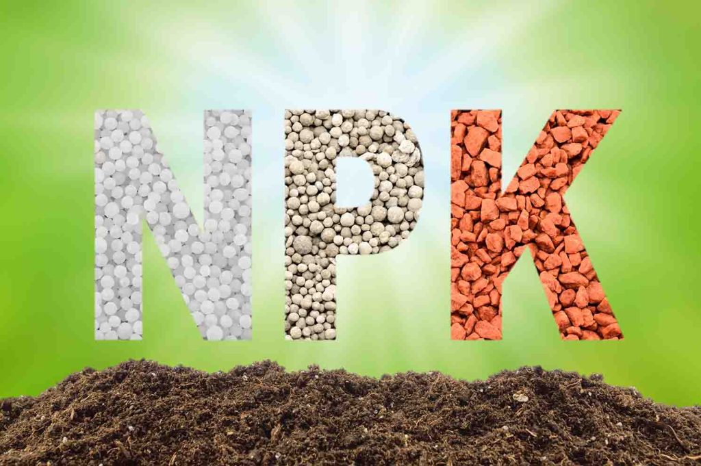 What Does NPK Stand For In Lawn Fertilizer? Tuxedo Yard Care