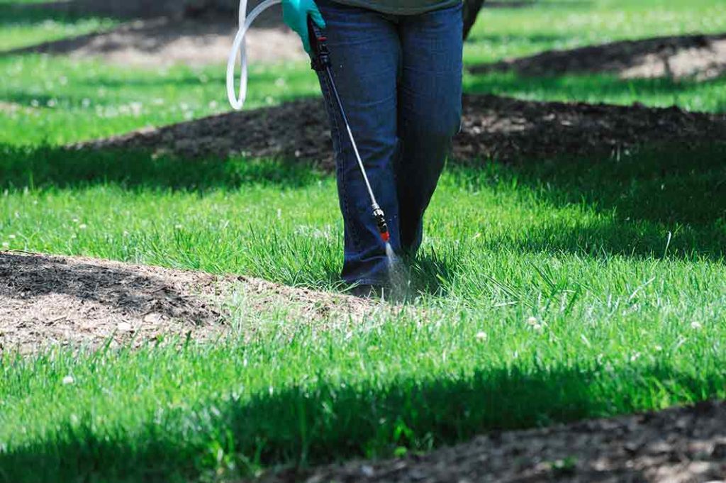 spraying fertilizer on a lawn