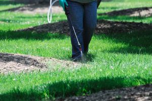 Lawn Care spraying fertilizer on a lawn