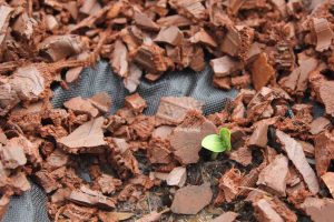 red rubber mulch