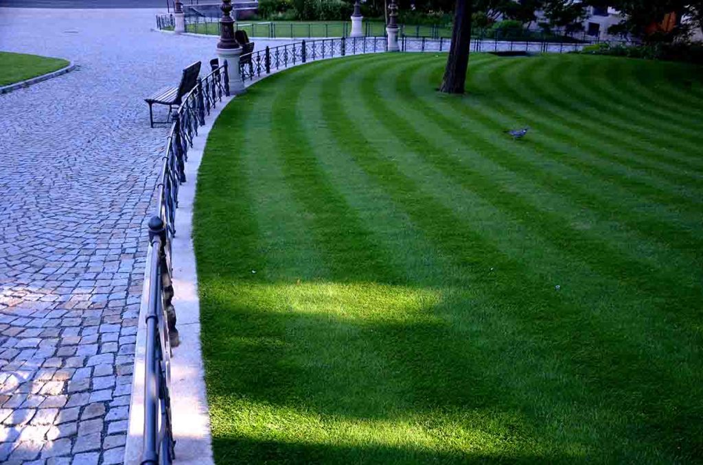 curved lawn stripes